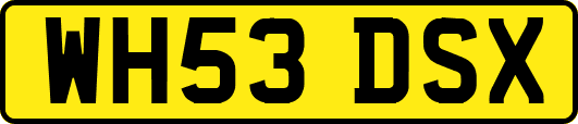 WH53DSX
