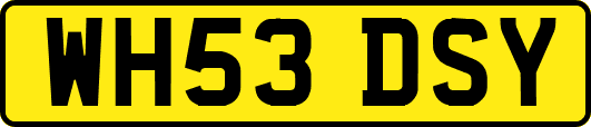 WH53DSY