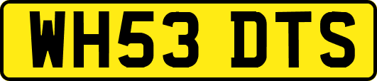 WH53DTS