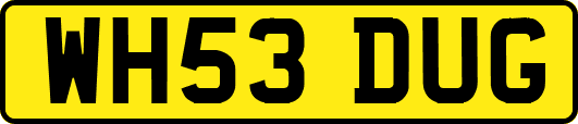 WH53DUG