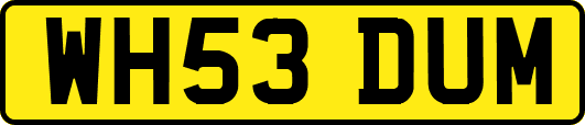 WH53DUM
