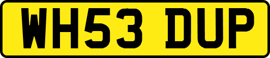 WH53DUP