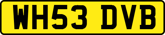 WH53DVB