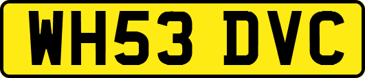 WH53DVC