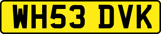 WH53DVK