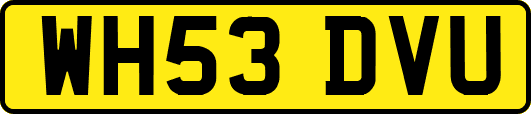 WH53DVU