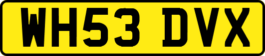 WH53DVX