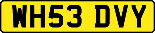 WH53DVY