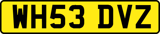 WH53DVZ