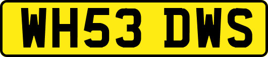 WH53DWS