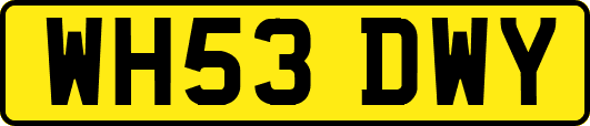WH53DWY