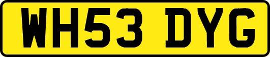 WH53DYG