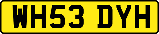 WH53DYH