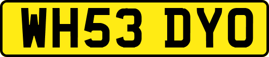 WH53DYO