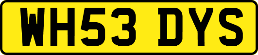 WH53DYS