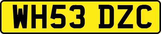WH53DZC
