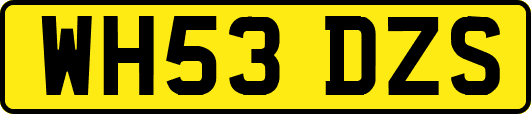 WH53DZS
