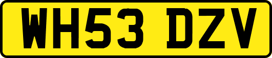 WH53DZV