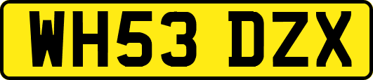 WH53DZX
