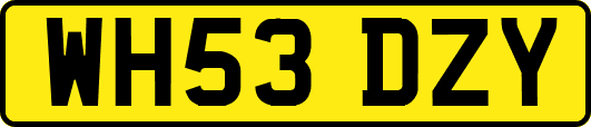 WH53DZY