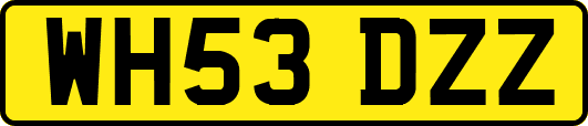 WH53DZZ