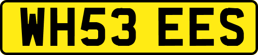 WH53EES