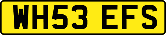 WH53EFS