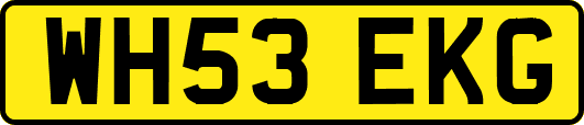 WH53EKG