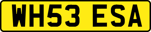 WH53ESA