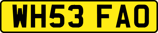 WH53FAO