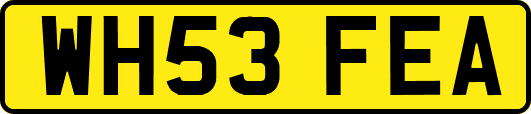 WH53FEA