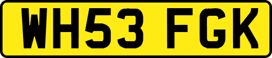 WH53FGK