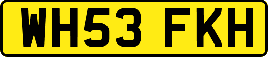 WH53FKH