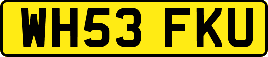 WH53FKU