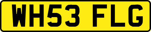 WH53FLG