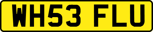 WH53FLU