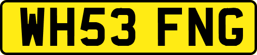 WH53FNG