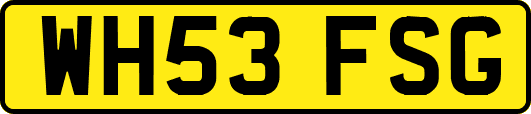 WH53FSG