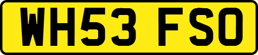 WH53FSO