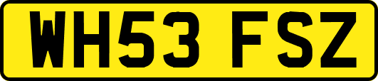 WH53FSZ