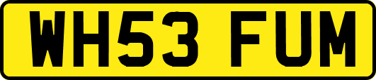 WH53FUM