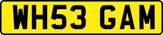 WH53GAM