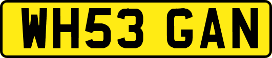 WH53GAN