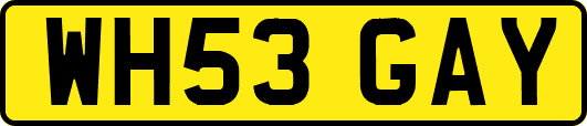 WH53GAY