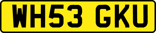 WH53GKU