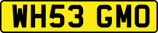 WH53GMO