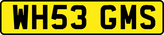 WH53GMS