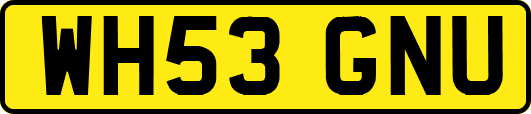WH53GNU