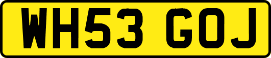 WH53GOJ