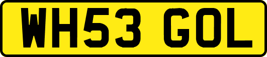 WH53GOL
